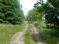 Farm track, former RAF Matching © Robin Webster cc-by-sa/2.0 :: Geograph Britain and Ireland Farm track, former RAF Matching... 