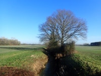 Hammer Stream seen from Dig Dog Lane © Marathon :: Geograph Britain and Ireland Hammer Stream seen from Dig Dog Lane &copy; Marathon