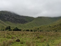 Marshy ground and a host of drumlins © David Medcalf :: Geograph Britain and Ireland Marshy ground and a host of drumlins... 