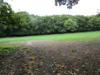 Grass field and Dalditch Plantation © Jonathan Thacker cc-by-sa/2.0 :: Geograph Britain and Ireland Grass field and Dalditch... 