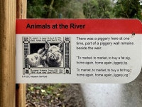 Animals at the River - Mullaghmore © Kenneth Allen :: Geograph Britain and Ireland Animals at the River - Mullaghmore... 