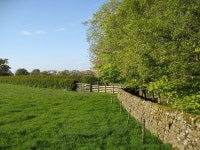 Field corner near Warnell Hall © Adrian Taylor :: Geograph Britain and Ireland Field corner near Warnell Hall &copy; Adrian Taylor