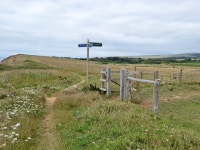 Path junction on coastal path © Robin Webster cc-by-sa/2.0 :: Geograph Britain and Ireland Path junction on coastal path... 