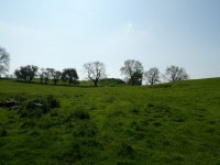 Upland scene on a May morning © Jeremy Bolwell cc-by-sa/2.0 :: Geograph Britain and Ireland Upland scene on a May morning... 