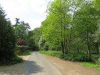 Hurland Lane, near Bordon © Malc McDonald cc-by-sa/2.0 :: Geograph Britain and Ireland Hurland Lane, near Bordon &copy; Malc... 