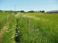 Footpath 68/5, Gomersal © Humphrey Bolton :: Geograph Britain and Ireland Footpath 68/5, Gomersal &copy; Humphrey Bolton