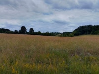 Footpath towards Hungerford Newtown © Oscar Taylor cc-by-sa/2.0 :: Geograph Britain and Ireland Footpath towards Hungerford...