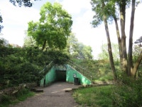 Parkland Walk, Muswell Hill © Malc McDonald cc-by-sa/2.0 :: Geograph Britain and Ireland Parkland Walk, Muswell Hill &copy; Malc... 
