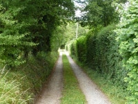 Private lane off Crondall Lane, Farnham © Robin Webster :: Geograph Britain and Ireland Private lane off Crondall Lane, Farnham... 