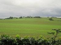 Near Oulston © T Eyre :: Geograph Britain and Ireland Near Oulston &copy; T  Eyre