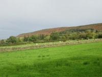 In Danby Dale © T Eyre cc-by-sa/2.0 :: Geograph Britain and Ireland In Danby Dale &copy; T  Eyre cc-by-sa/2.0