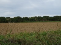 Field and woodland near Ivy Farm © JThomas cc-by-sa/2.0 :: Geograph Britain and Ireland Field and woodland near Ivy Farm... 