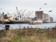 Birds and ships, Belfast © Rossographer :: Geograph Britain and Ireland Birds and ships, Belfast &copy; Rossographer