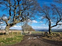 Field gateway near Prospect Grange Farm © Oliver Dixon :: Geograph Britain and Ireland Field gateway near Prospect Grange Farm... 