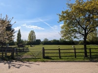 Sheep in field © don cload cc-by-sa/2.0 :: Geograph Britain and Ireland Sheep in field &copy; don cload cc-by-sa/2.0