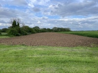 Expect to see maize © Mr Ignavy cc-by-sa/2.0 :: Geograph Britain and Ireland Expect to see maize &copy; Mr Ignavy cc-by-sa/2.0