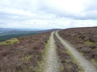 Track across the flank of Foel Cedig © Richard Law cc-by-sa/2.0 :: Geograph Britain and Ireland Track across the flank of Foel... 