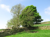 Farmland near High Bishopley © Mike Quinn :: Geograph Britain and Ireland Farmland near High Bishopley &copy; Mike Quinn
