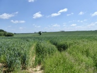 Barn Field © Simon Carey cc-by-sa/2.0 :: Geograph Britain and Ireland Barn Field &copy; Simon Carey cc-by-sa/2.0