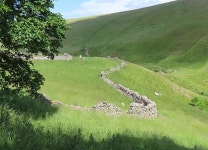 Drystane Dykes © Anne Burgess :: Geograph Britain and Ireland Drystane Dykes &copy; Anne Burgess