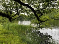 Lough-a-Tirrive, Aghalane © Kenneth Allen cc-by-sa/2.0 :: Geograph Britain and Ireland Lough-a-Tirrive, Aghalane &copy; Kenneth... 