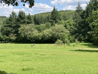 View from Wolvens Lane © P Harris cc-by-sa/2.0 :: Geograph Britain and Ireland View from Wolvens Lane &copy; P Harris cc-by-sa/2.0