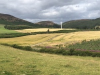 Barley, Stockmuir © Richard Webb :: Geograph Britain and Ireland Barley, Stockmuir &copy; Richard Webb