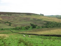 The view from Thornhope House - (1) east © Mike Quinn :: Geograph Britain and Ireland The view from Thornhope House - (1) east... 