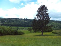 Field west of Nether Padley © Richard Vince :: Geograph Britain and Ireland Field west of Nether Padley &copy; Richard Vince