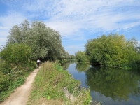 Along the Cam in August © John Sutton cc-by-sa/2.0 :: Geograph Britain and Ireland Along the Cam in August &copy; John Sutton cc... 