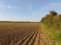 Path towards Enborne Road © Oscar Taylor :: Geograph Britain and Ireland Path towards Enborne Road &copy; Oscar Taylor