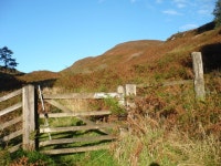 Gate giving access to the Menteith Hills © Alan ODowd :: Geograph Britain and Ireland Gate giving access to the Menteith Hills... 
