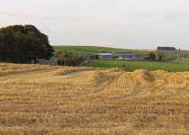 Straw Strips © Anne Burgess :: Geograph Britain and Ireland Straw Strips &copy; Anne Burgess