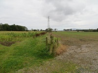 Arable fields separated by fencing © Peter Wood :: Geograph Britain and Ireland Arable fields separated by fencing &copy; Peter Wood