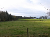 Fields at Haswellsykes © Jim Barton cc-by-sa/2.0 :: Geograph Britain and Ireland Fields at Haswellsykes &copy; Jim Barton cc-by... 