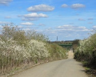 A fenland byway in early spring © John Sutton :: Geograph Britain and Ireland A fenland byway in early spring &copy; John Sutton