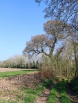 Bridleway and farmland near Rudge in... © Roger D Kidd :: Geograph Britain and Ireland Bridleway and farmland near Rudge in...... 