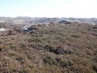 A Ross of Mull summit © Richard Webb :: Geograph Britain and Ireland A Ross of Mull summit &copy; Richard Webb