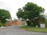 Forest Oak Drive, New Milton © Malc McDonald :: Geograph Britain and Ireland Forest Oak Drive, New Milton &copy; Malc McDonald