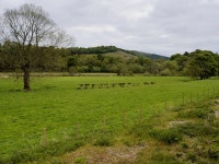 Dee Valley near Carrog © David Dixon cc-by-sa/2.0 :: Geograph Britain and Ireland Dee Valley near Carrog &copy; David Dixon cc... 