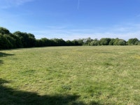 Within the Winklebury Ring © Mr Ignavy :: Geograph Britain and Ireland Within the Winklebury Ring &copy; Mr Ignavy