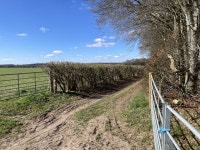 Byway across Crawley Down © Mr Ignavy :: Geograph Britain and Ireland Byway across Crawley Down &copy; Mr Ignavy