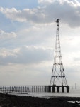 Power raised high © Neil Owen cc-by-sa/2.0 :: Geograph Britain and Ireland Power raised high &copy; Neil Owen cc-by-sa/2.0