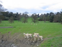 Avon Dassett © David Stowell :: Geograph Britain and Ireland Avon Dassett &copy; David Stowell