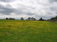 Footpath to Barford Church © David Stowell cc-by-sa/2.0 :: Geograph Britain and Ireland Footpath to Barford Church &copy; David... 