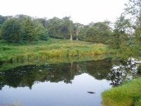 Bradgate Park © Bob Tinley :: Geograph Britain and Ireland Bradgate Park &copy; Bob Tinley