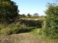 Hinxworth Church over fields nearby © Robin Hall :: Geograph Britain and Ireland Hinxworth Church over fields nearby... 