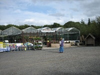 Hillhall Nursery Centre (C) Brian Shaw :: Geograph Britain and Ireland Hillhall Nursery Centre (C) Brian Shaw