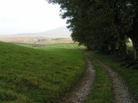 The track to Broadrake © Dave Dunford cc-by-sa/2.0 :: Geograph Britain and Ireland The track to Broadrake &copy; Dave Dunford cc... 