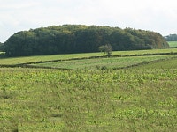 Farmland near Stoke Rochford (C) Kate Jewell :: Geograph Britain and Ireland Farmland near Stoke Rochford (C) Kate Jewell